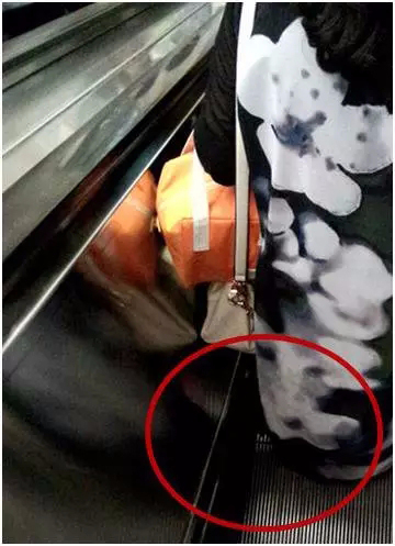 湖南電梯公司:坐自動(dòng)扶梯安全距離示范